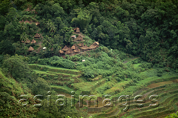 Asia Images Group - Rice Terraces, Philippines