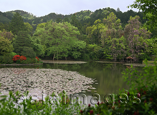 Asia Images Group - Pond, Tenryu-ji Temple, Kyoto, Japan