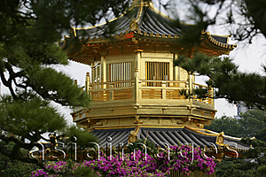 Asia Images Group - Pagoda at Chi Lin Nunnery Chinese garden, Diamond Hill, Hong Kong