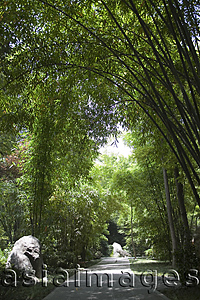 Asia Images Group - Bamboo lane, Thatched cottage of Du Fu, Chengdu, China