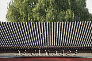 Asia Images Group - Roof of a temple