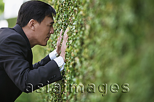 Asia Images Group - Businessman trying to looking though a hedge