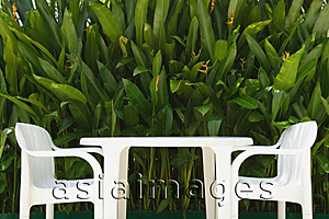 Asia Images Group - White garden chairs with table