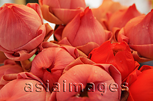 Asia Images Group - Close-up of lotus flowers