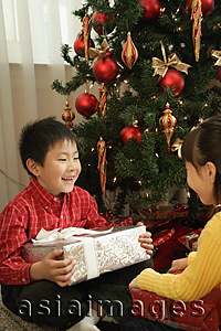 Asia Images Group - Children with presents sitting under Christmas tree