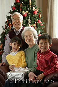 Asia Images Group - Grandparents with grandchildren at Christmas time smiling at camera
