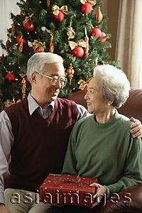 Asia Images Group - Elderly couple at Christmas time smiling at each other