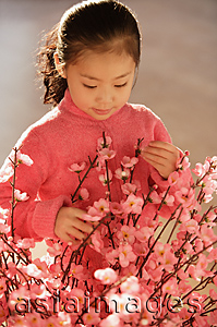 Asia Images Group - Little girl with cherry blossom branches