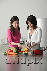 AsiaPix - Mother guiding daughter in preparing a meal
