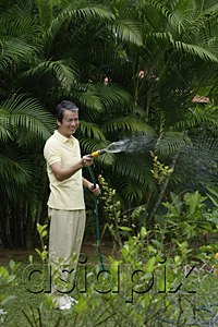 AsiaPix - Mature man watering plants in garden