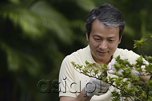 AsiaPix - Mature man pruning plant