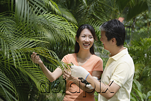 AsiaPix - Couple outdoors in garden, looking at palm plant
