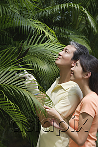 AsiaPix - Couple outdoors in garden, studying palm plant