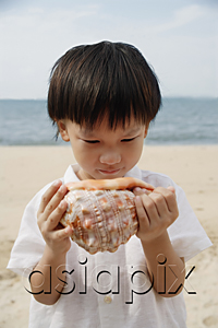 AsiaPix - Young boy on beach looking at giant conk shell