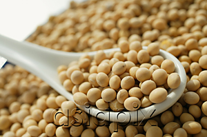 AsiaPix - Still life of soya beans