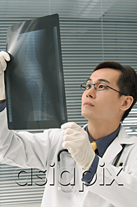 AsiaPix - Doctor examining x-rays of knee