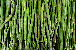 PictureIndia - Green beans