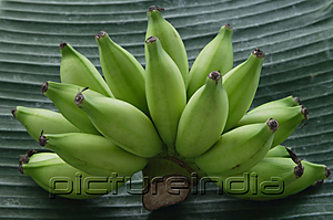 PictureIndia - Still life of bananas