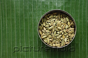 PictureIndia - Still life of seeds