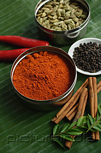 PictureIndia - Still life of masala powder, seeds, cinnamon sticks and red chillies